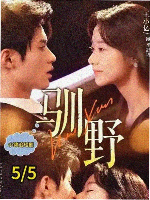 美国政治惊悚剧裂痕之城